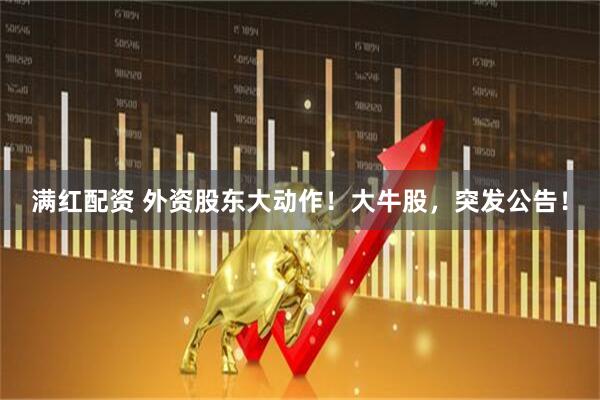 满红配资 外资股东大动作！大牛股，突发公告！