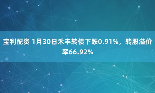 宝利配资 1月30日禾丰转债下跌0.91%，转股溢价率66.92%