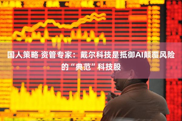 国人策略 资管专家：戴尔科技是抵御AI颠覆风险的“典范”科技股